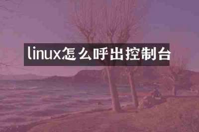 linux怎么呼出控制台