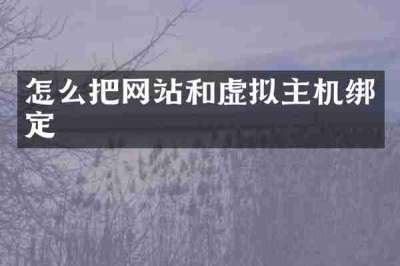 怎么把网站和虚拟主机绑定
