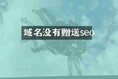 域名没有赠送seo