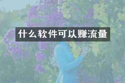 什么软件可以赚流量