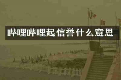 哔哩哔哩起信誉什么意思