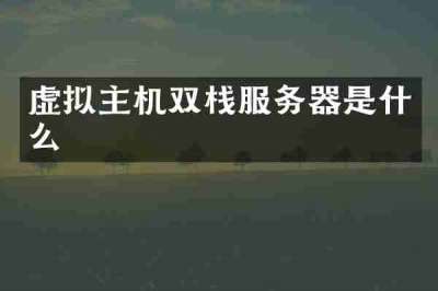 虚拟主机双栈服务器是什么