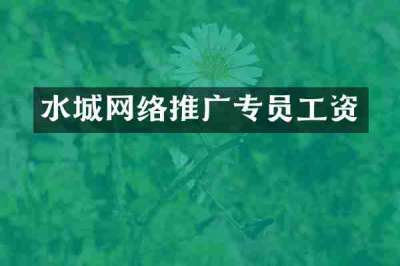 水城网络推广专员工资