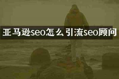 亚马逊seo怎么引流seo顾问