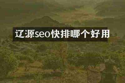 辽源seo快排哪个好用