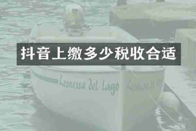 抖音上缴多少税收合适