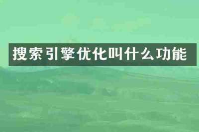 搜索引擎优化叫什么功能