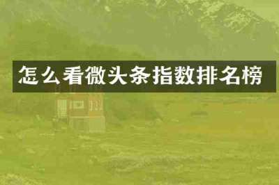 怎么看微头条指数排名榜