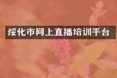 绥化市网上直播培训平台