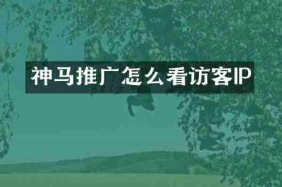 神马推广怎么看访客IP