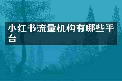 小红书流量机构有哪些平台