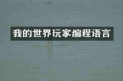 我的世界玩家编程语言