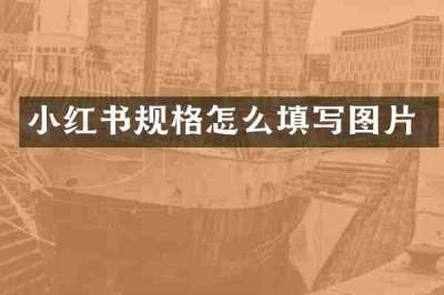 小红书规格怎么填写图片
