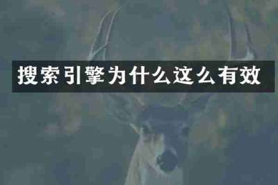 搜索引擎为什么这么有效