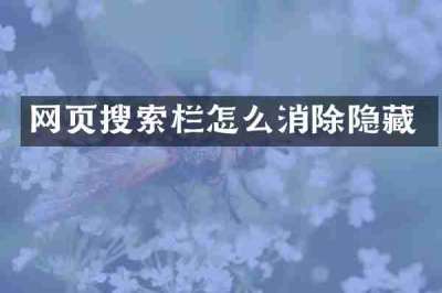网页搜索栏怎么消除隐藏