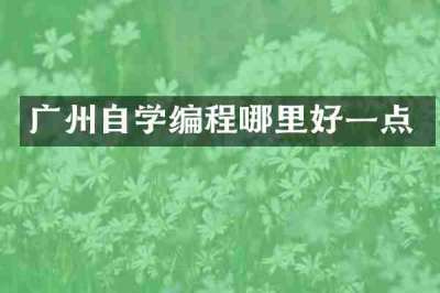 广州自学编程哪里好一点