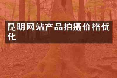 昆明网站产品拍摄价格优化