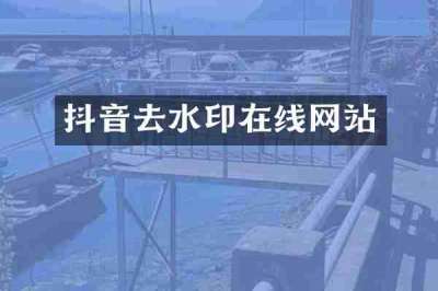 抖音去水印在线网站
