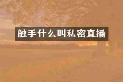 触手什么叫私密直播