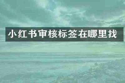 小红书审核标签在哪里找