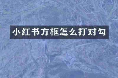小红书方框怎么打对勾
