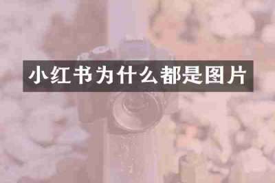 小红书为什么都是图片