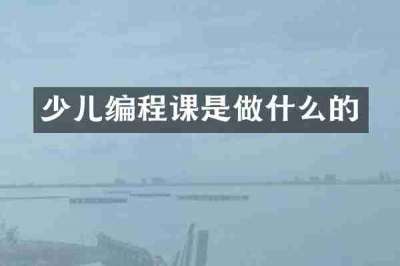 少儿编程课是做什么的