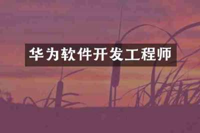 华为软件开发工程师