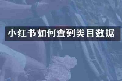 小红书如何查到类目数据