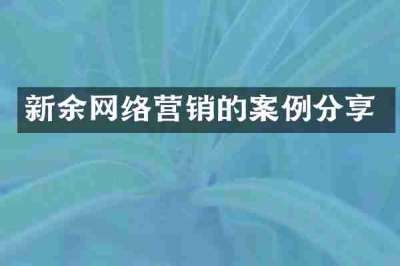 新余网络营销的案例分享