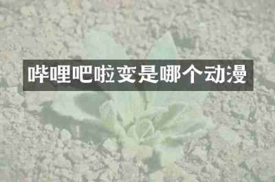 哔哩吧啦变是哪个动漫