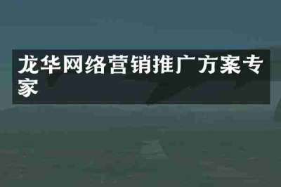 龙华网络营销推广方案专家
