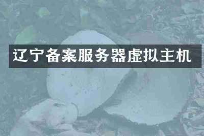 辽宁备案服务器虚拟主机