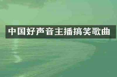 中国好声音主播搞笑歌曲