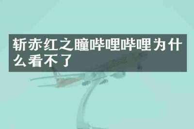 斩赤红之瞳哔哩哔哩为什么看不了