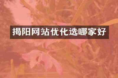 揭阳网站优化选哪家好