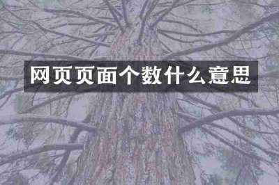 网页页面个数什么意思