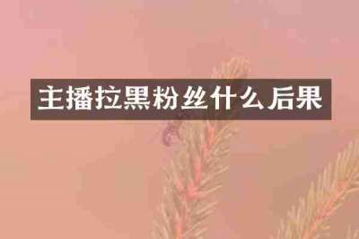 主播拉黑粉丝什么后果