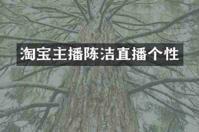 淘宝主播陈洁直播个性