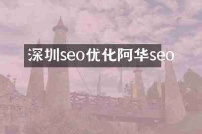 深圳seo优化阿华seo