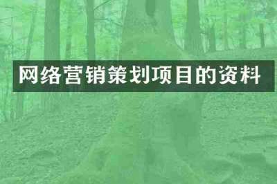 网络营销策划项目的资料