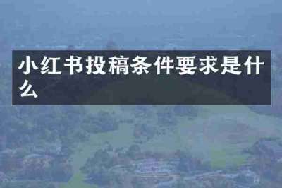 小红书投稿条件要求是什么
