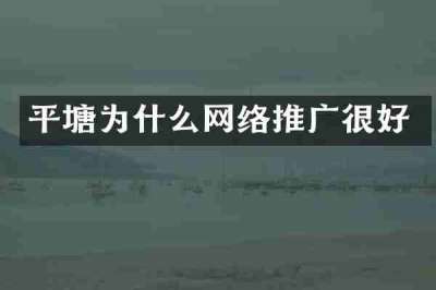 平塘为什么网络推广很好