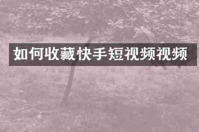 如何收藏快手短视频视频