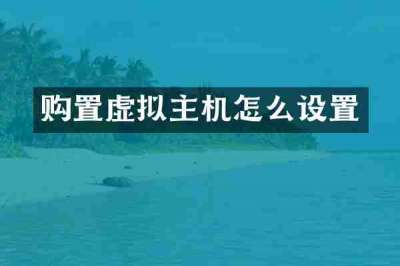 购置虚拟主机怎么设置
