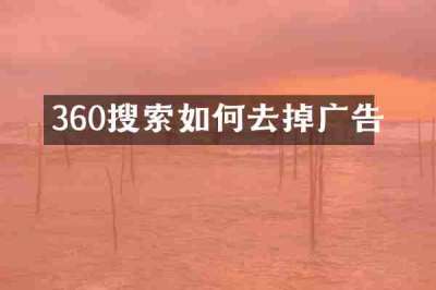 360搜索如何去掉广告