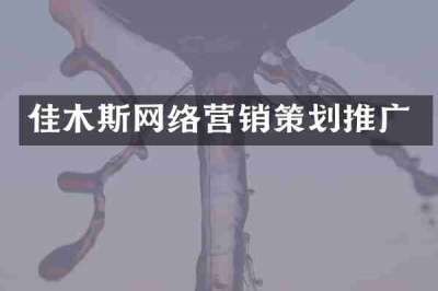 佳木斯网络营销策划推广