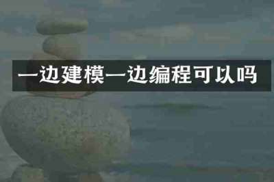 一边建模一边编程可以吗