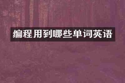 编程用到哪些单词英语