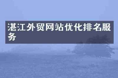 湛江外贸网站优化排名服务